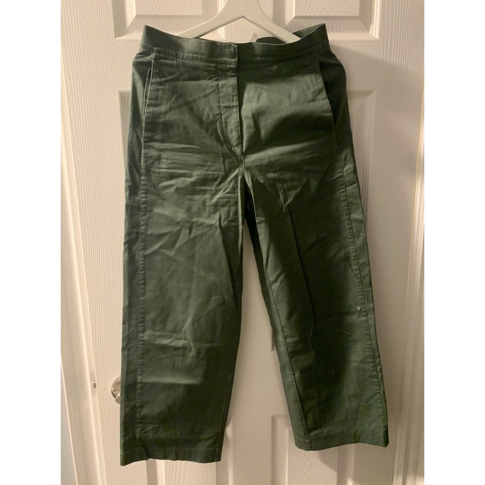 Aritzia Babaton straight wide edge pants